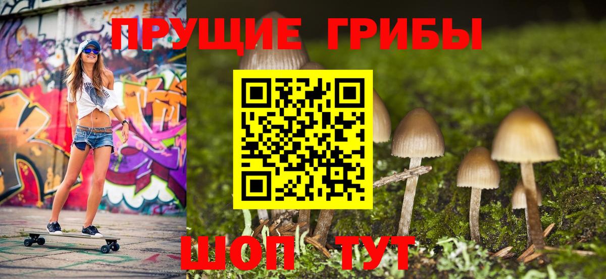 Псилоцибиновые грибы прущие грибы Псков