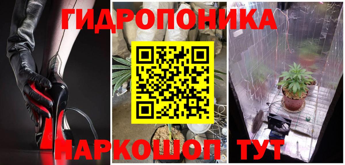 Конопля AK-47  Шишки марихуана AK-47  Псков  Вход с VPN 